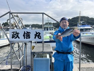 マダイ