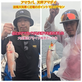 シロアマダイ