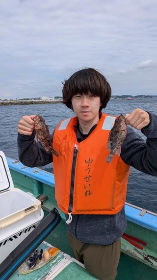 カサゴ