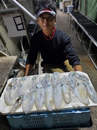 アオリイカ