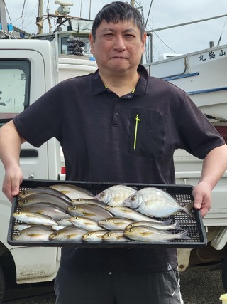 カイワリ