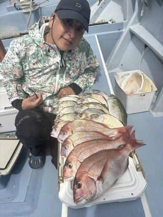 マダイ