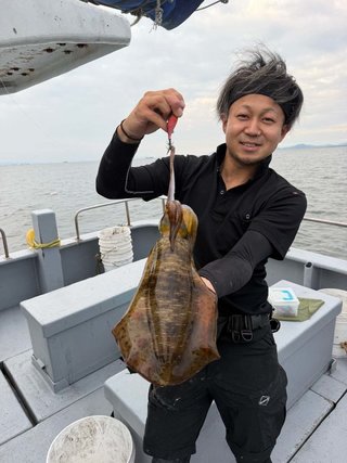 アオリイカ