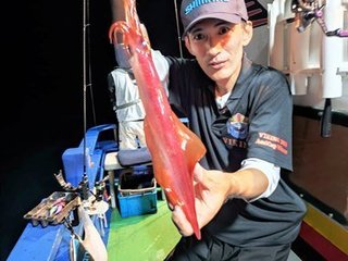 アオリイカ