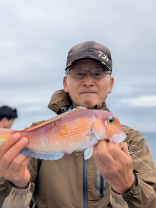 アマダイ
