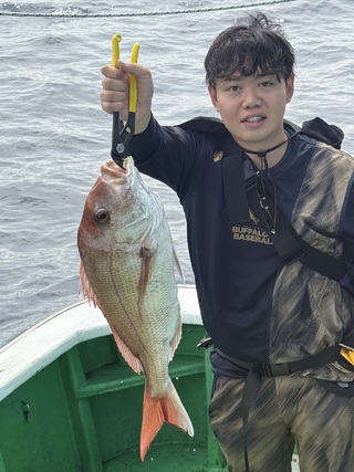 メジロ