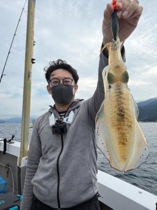 アオリイカ