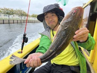 マゴチ