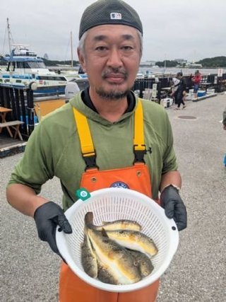 ショウサイフグ