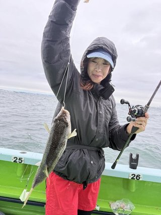 ショウサイフグ