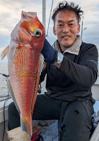 アマダイ