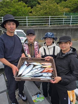 ヒラソウダ