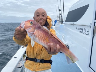 アマダイ