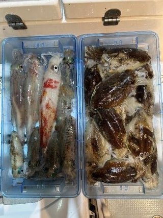 マイカ