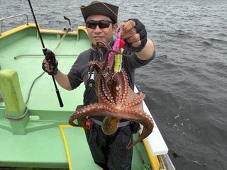 マダコ
