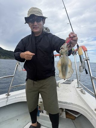 アオリイカ