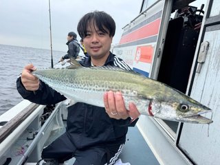 サワラ