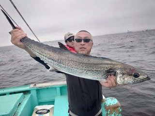 サワラ