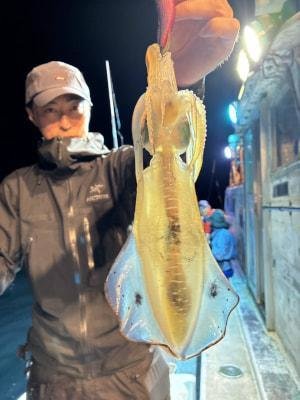 アオリイカ