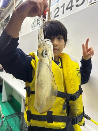 アオリイカ