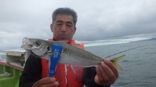 アマダイ