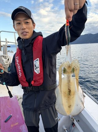 アオリ