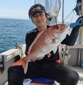 マダイ