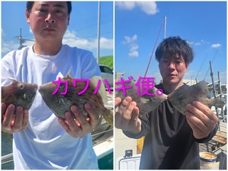 カワハギ