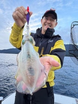 アオリイカ