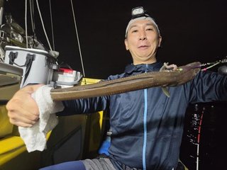 アナゴ