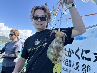アオリイカ