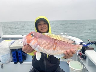 アマダイ