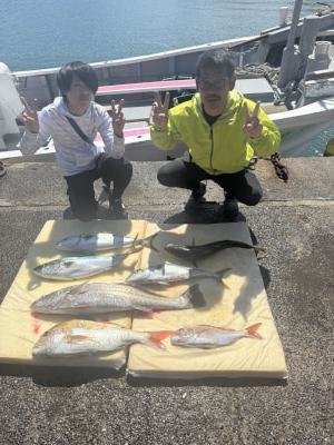 カンパチ