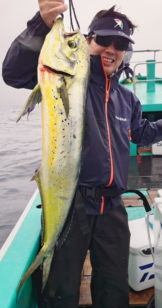 シイラ