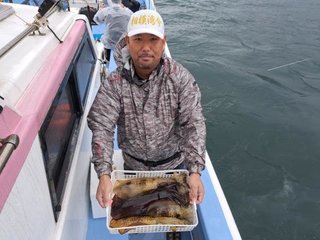アオリイカ
