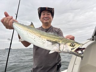 サワラ
