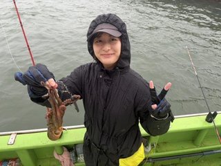 マダコ