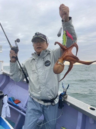マダコ