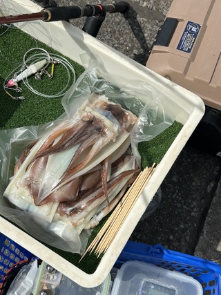 スルメイカ