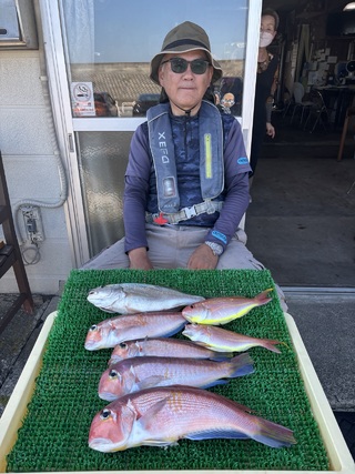 アマダイ