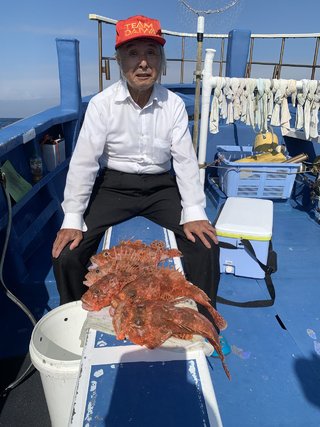 メダイ