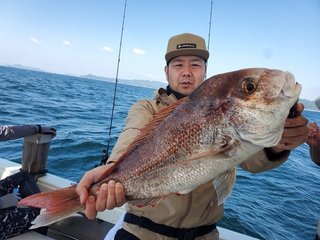 マダイ
