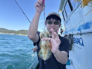 アオリイカ