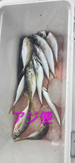 アジ