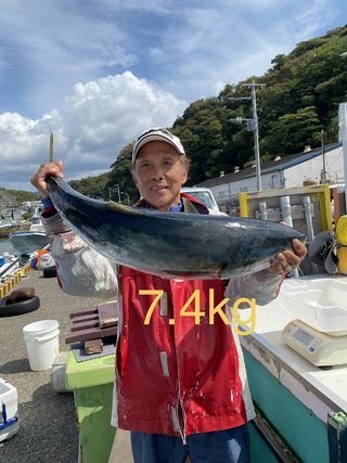 ワラサ