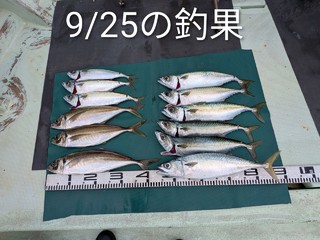 マサバ