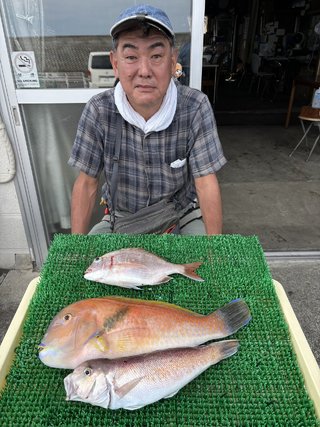 アマダイ
