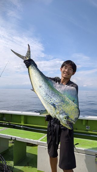 シイラ