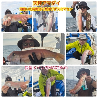 シロアマダイ