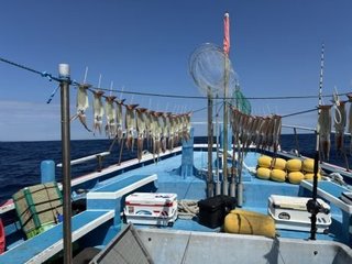 スルメイカ